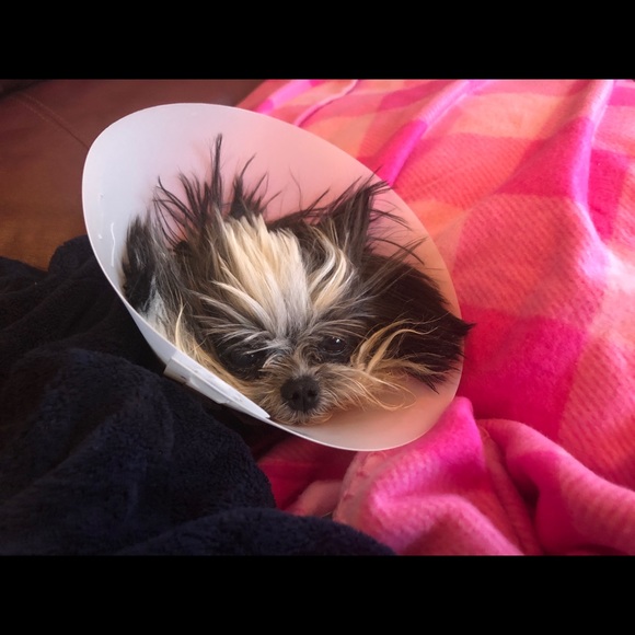 Victoria’s Secret Very Sexy Thong Satin Lace Hipster Size Medium Black NWT - Picture 12 of 12